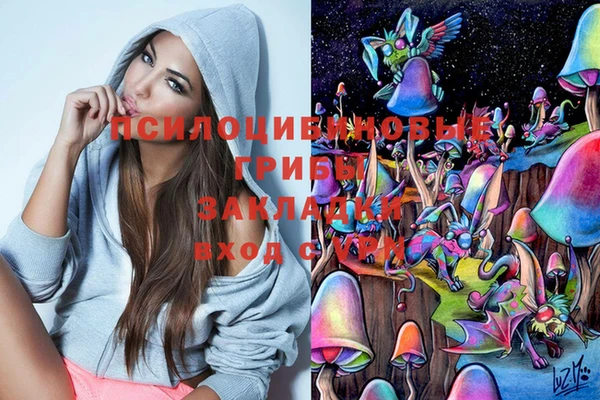 a pvp Богданович