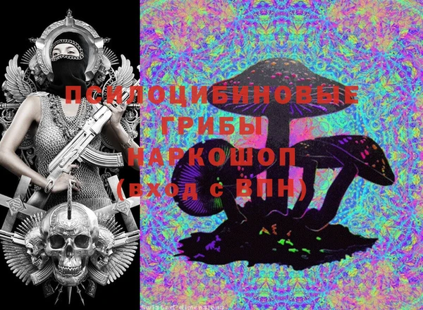 хмурый Богородицк