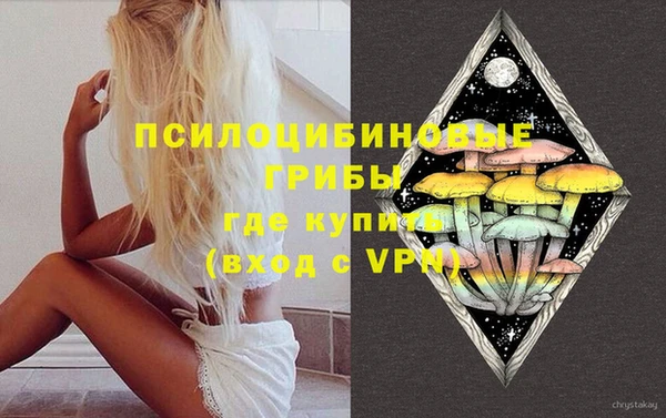 хмурый Богородицк